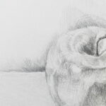 LifeArt School Module One Drawing Class + Apple Cross Blending